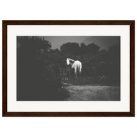 da750db4-411e-4b35-82cc-1287886fb9aa