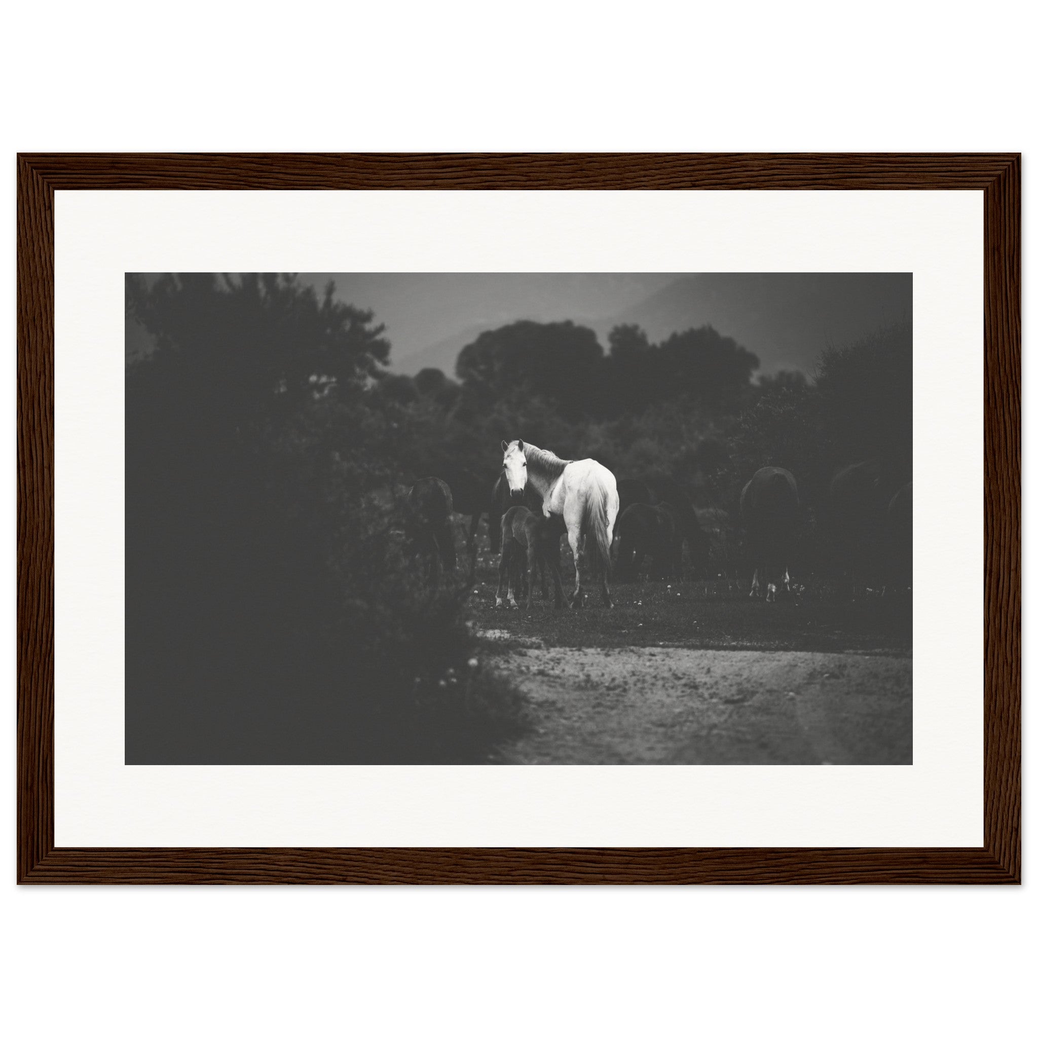 da750db4-411e-4b35-82cc-1287886fb9aa