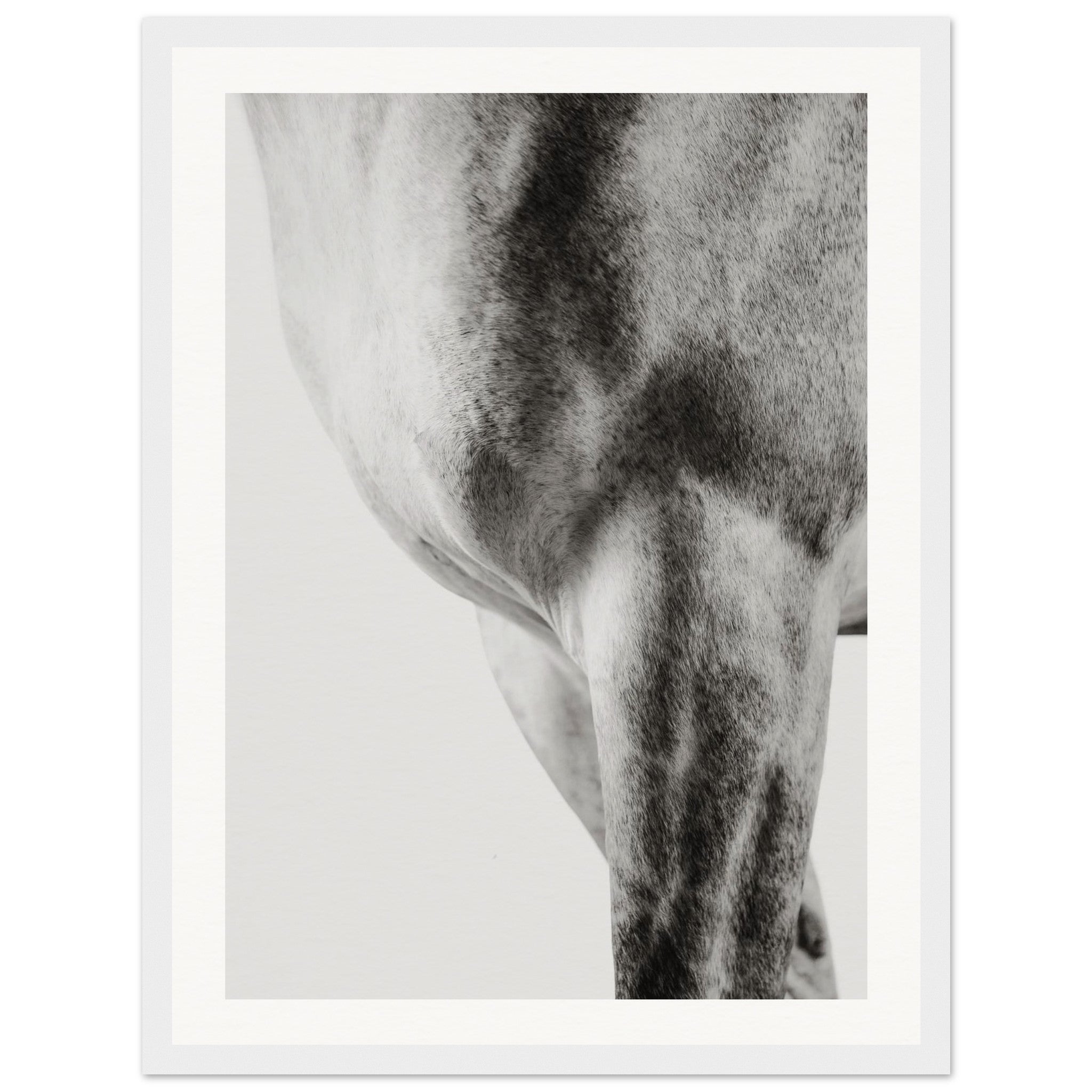 da820362-2ab2-44c1-b30e-7ef71ffa447d