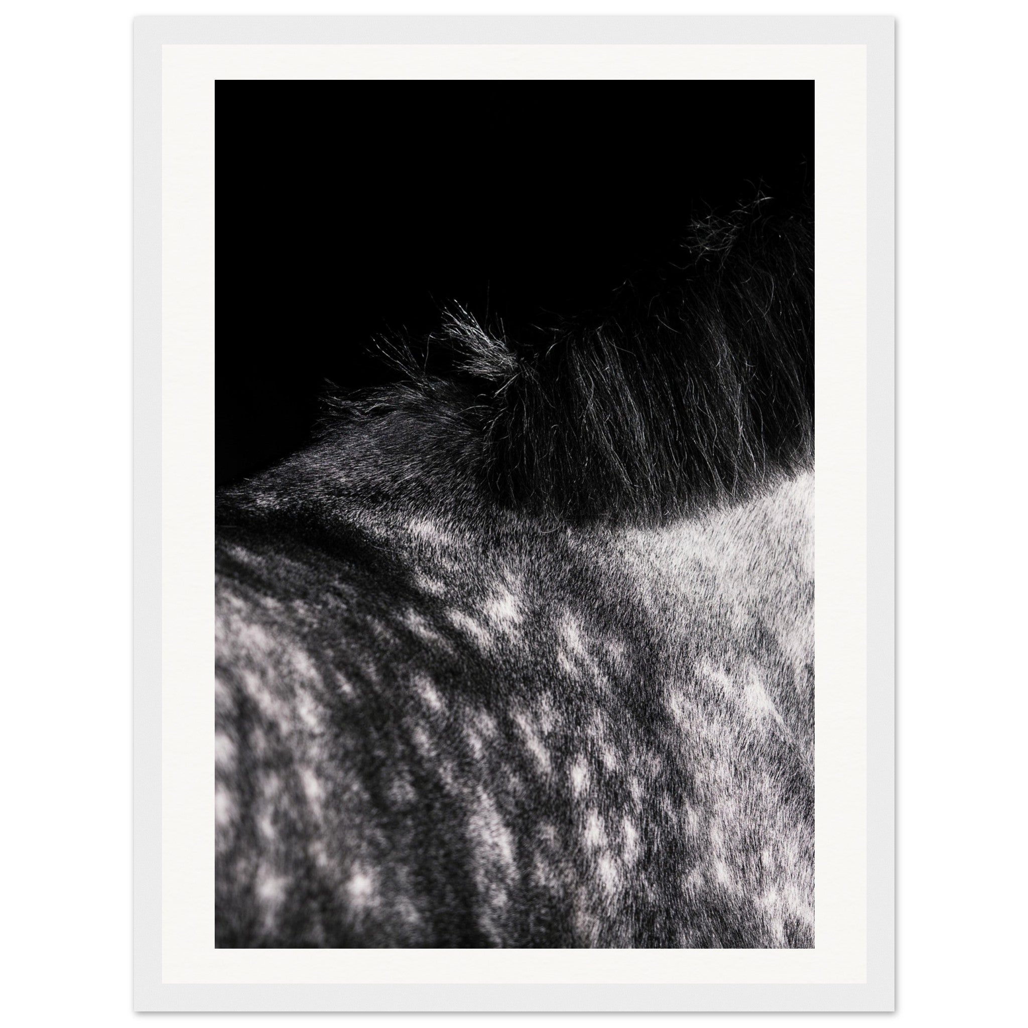 da830adc-e774-4ed9-941b-3dd7ceab173d