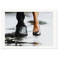 da85f63c-322b-4165-8595-9f4334f7c3a1