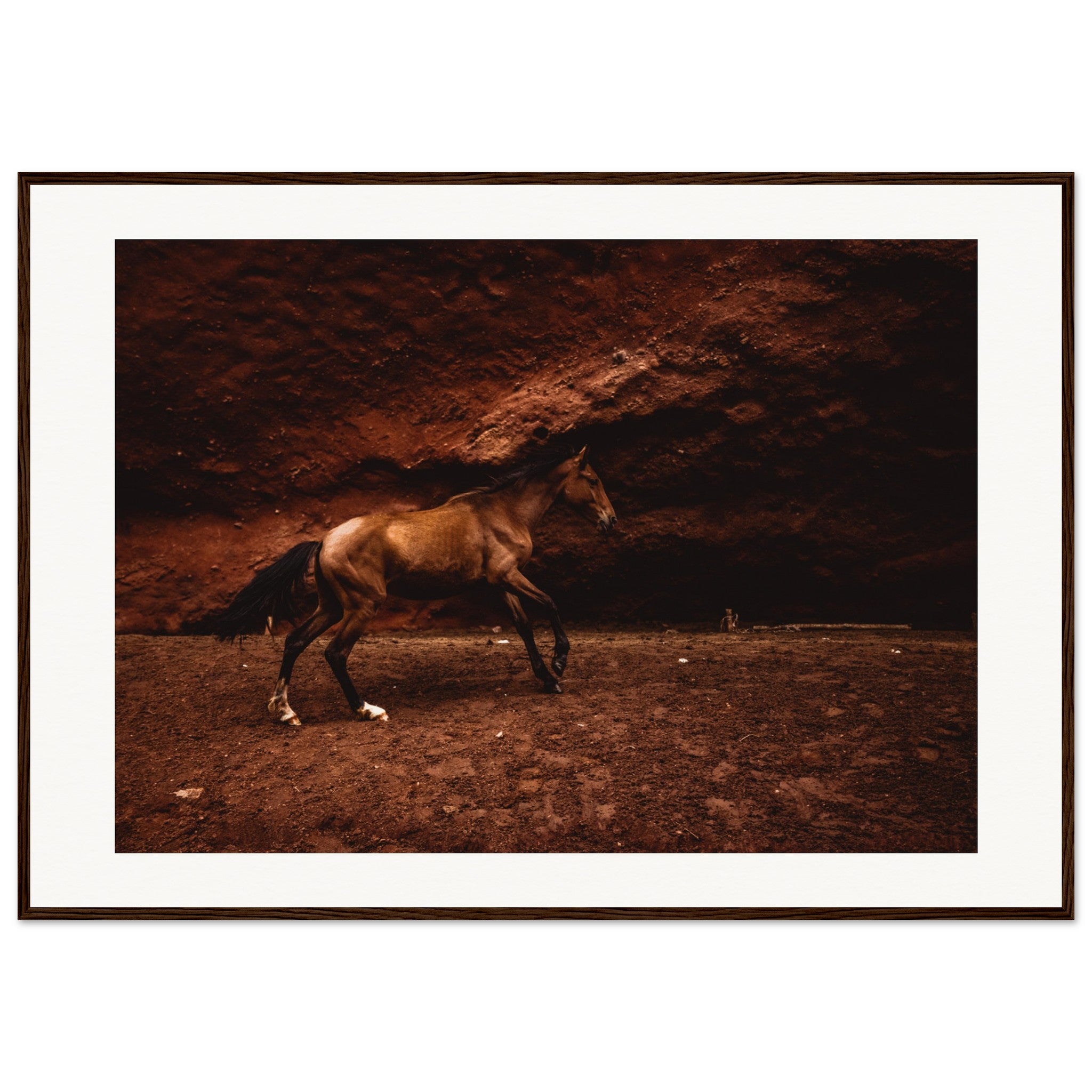 da88bbf1-42da-4f17-ad61-1e31851a1050