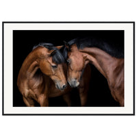 da8a160a-ec2e-4d25-9c6d-38e17401c531