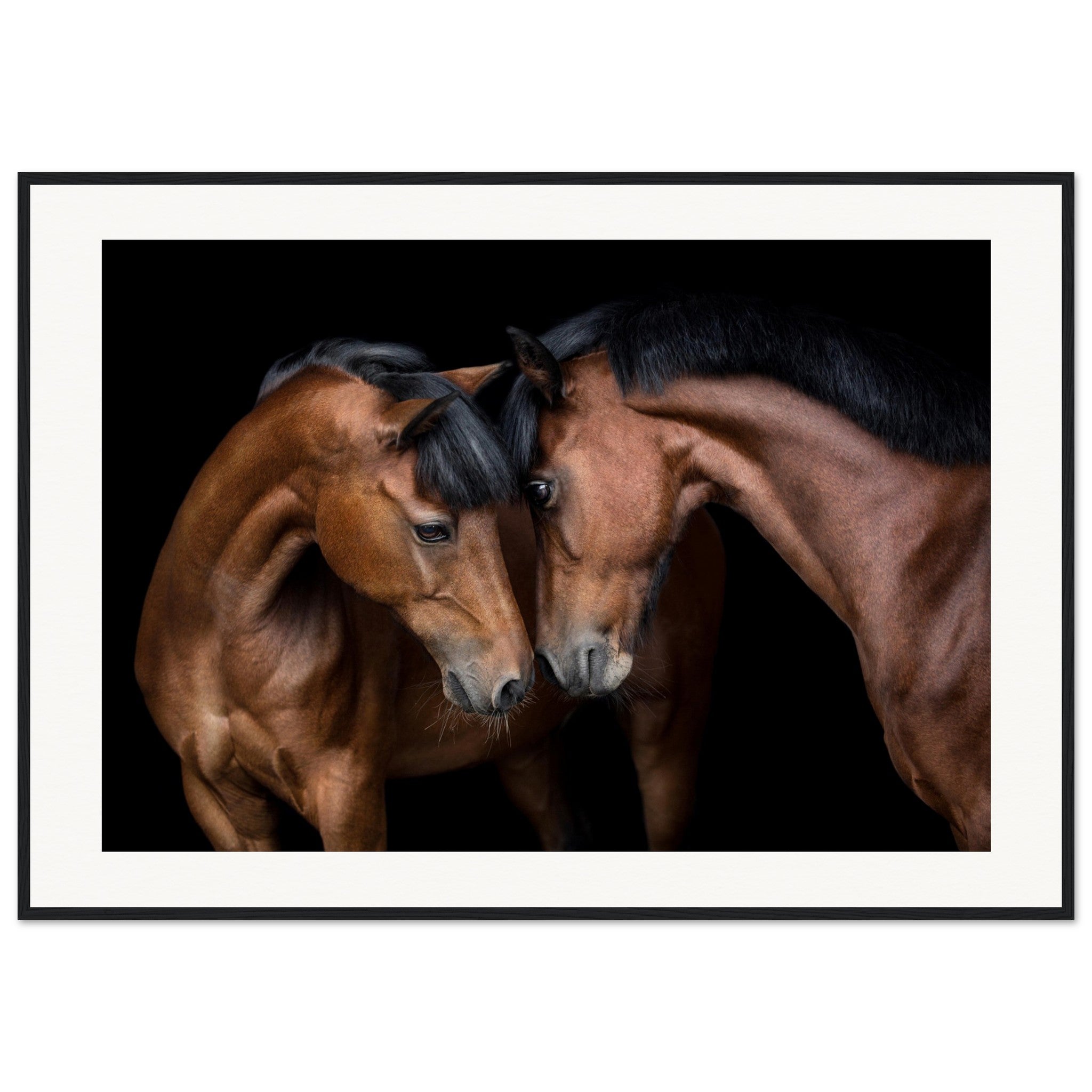 da8a160a-ec2e-4d25-9c6d-38e17401c531