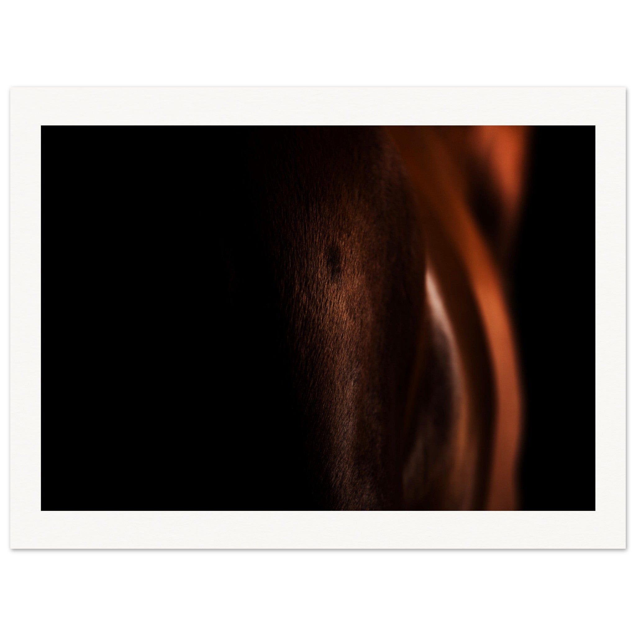 daeb407e-0487-4fed-9661-542731c48881