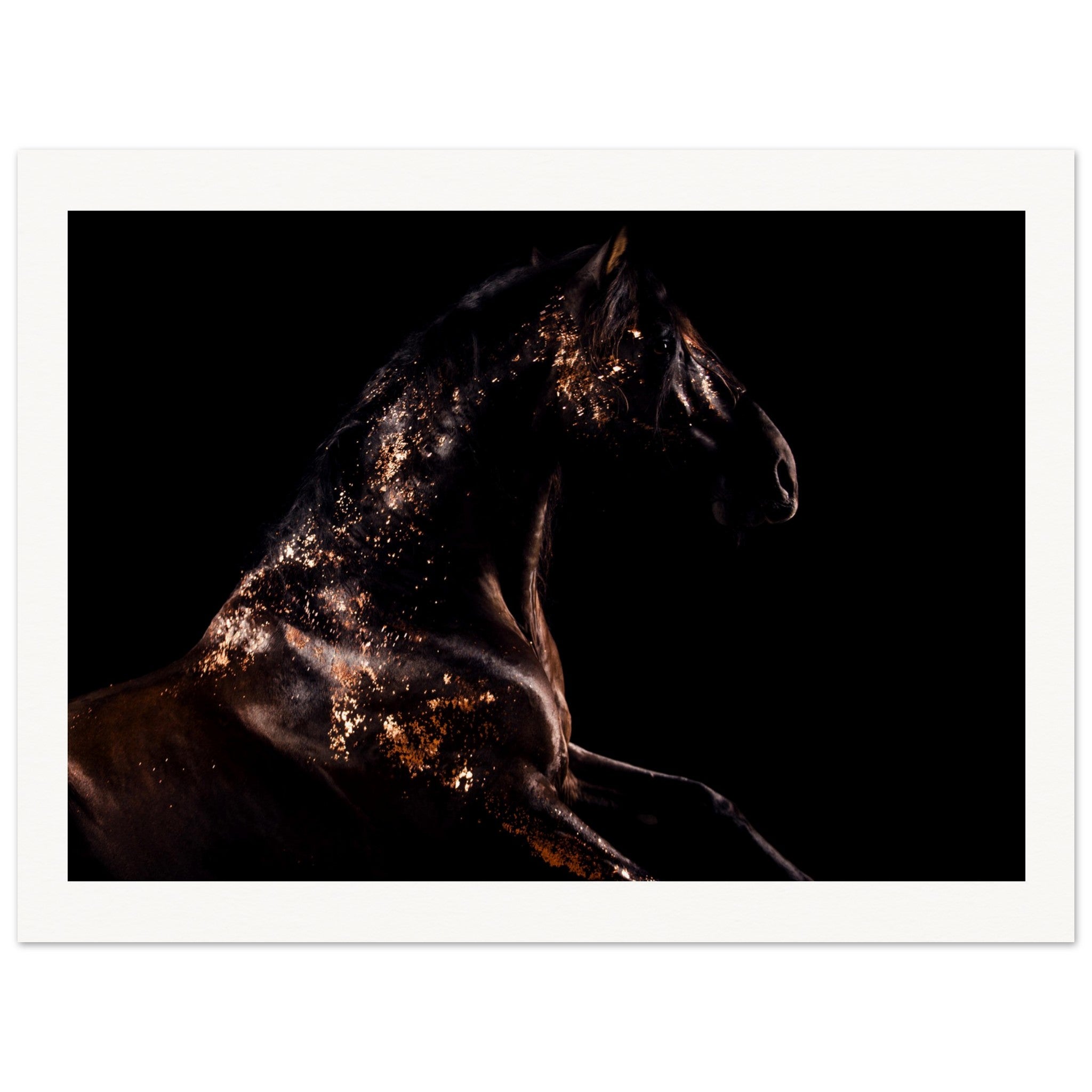 db49cb9e-e995-4bb4-a158-b0fc838077f1