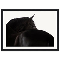 db55842a-e0b2-46e8-8337-46523d234c53