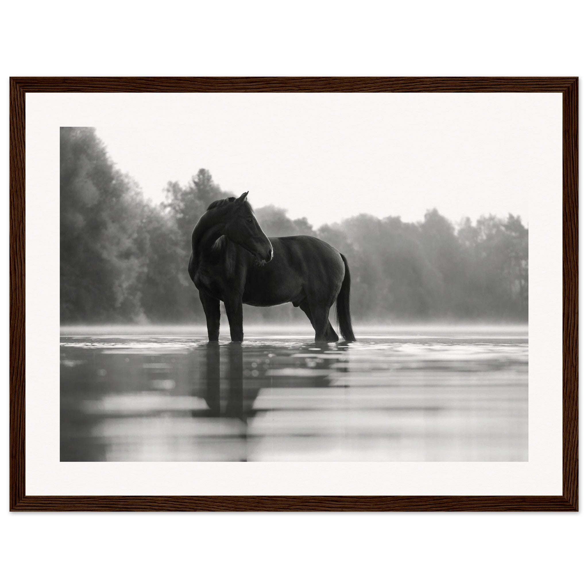 dbb04d52-bad6-466f-970a-002f2c337ce2