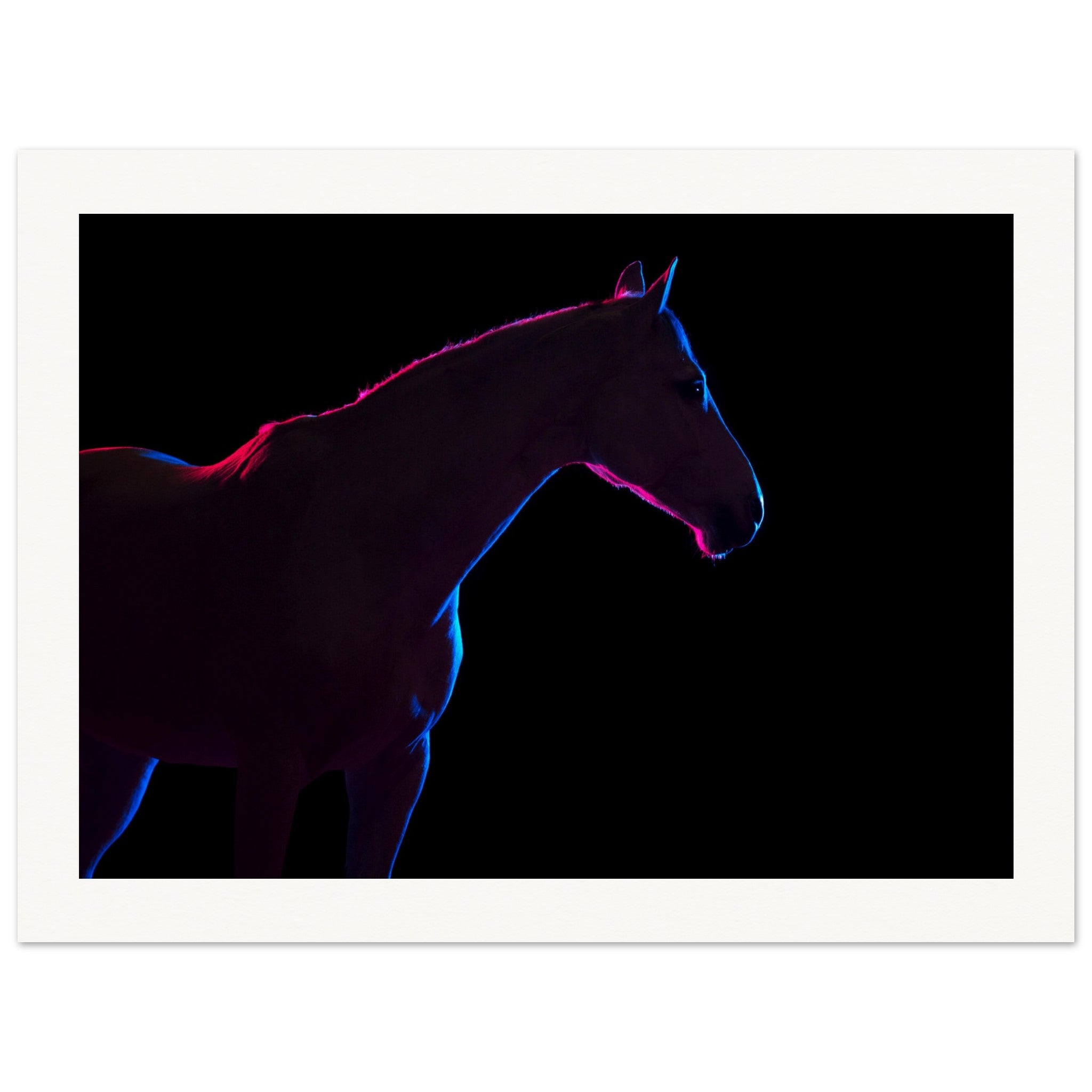 dbc9af05-8e74-4a6f-ace7-58644675a588