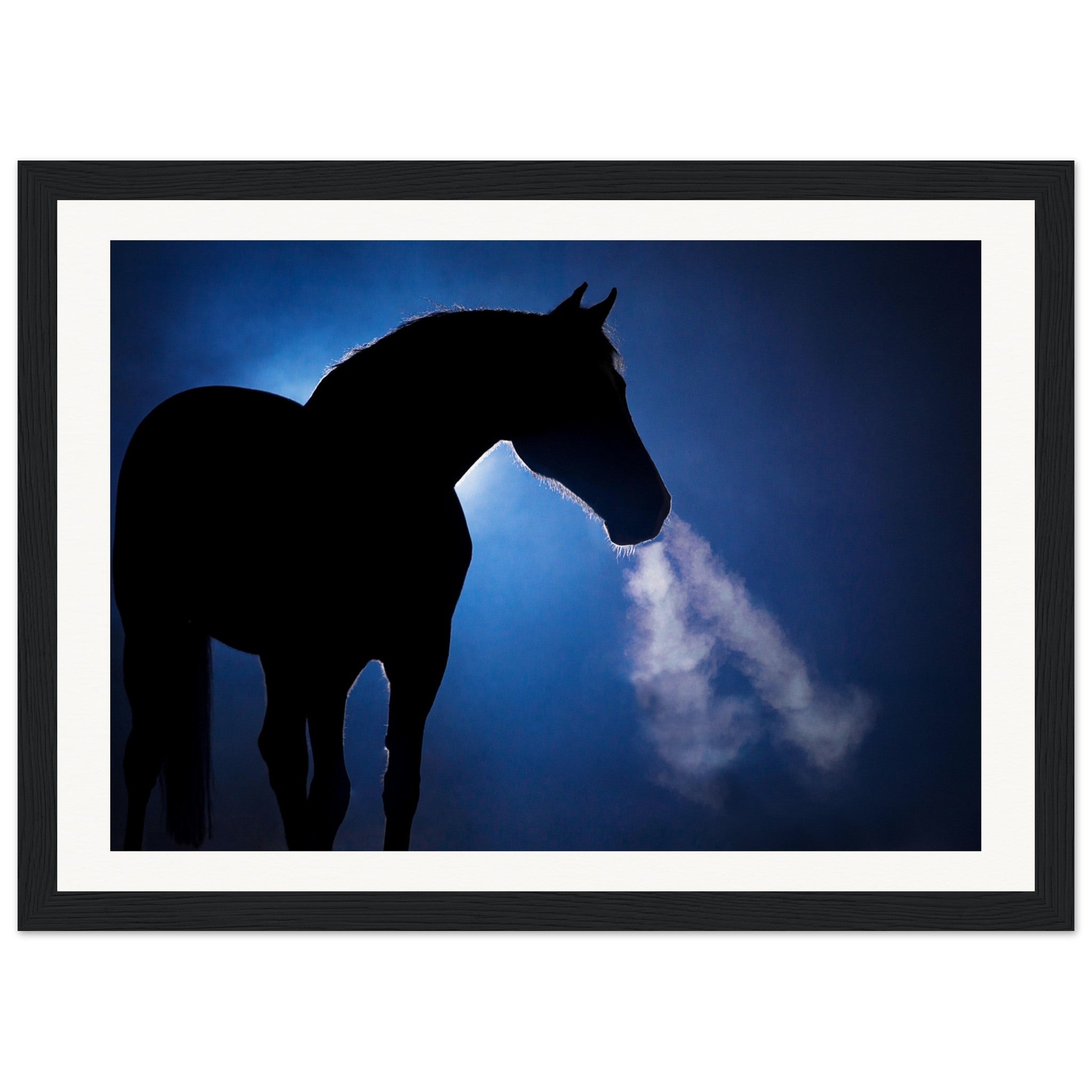 dbf875ee-4431-47a0-a6d7-25eb93cc3819