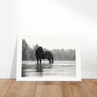 dc202050-ef70-4178-bf91-9fc4cf3c07f5