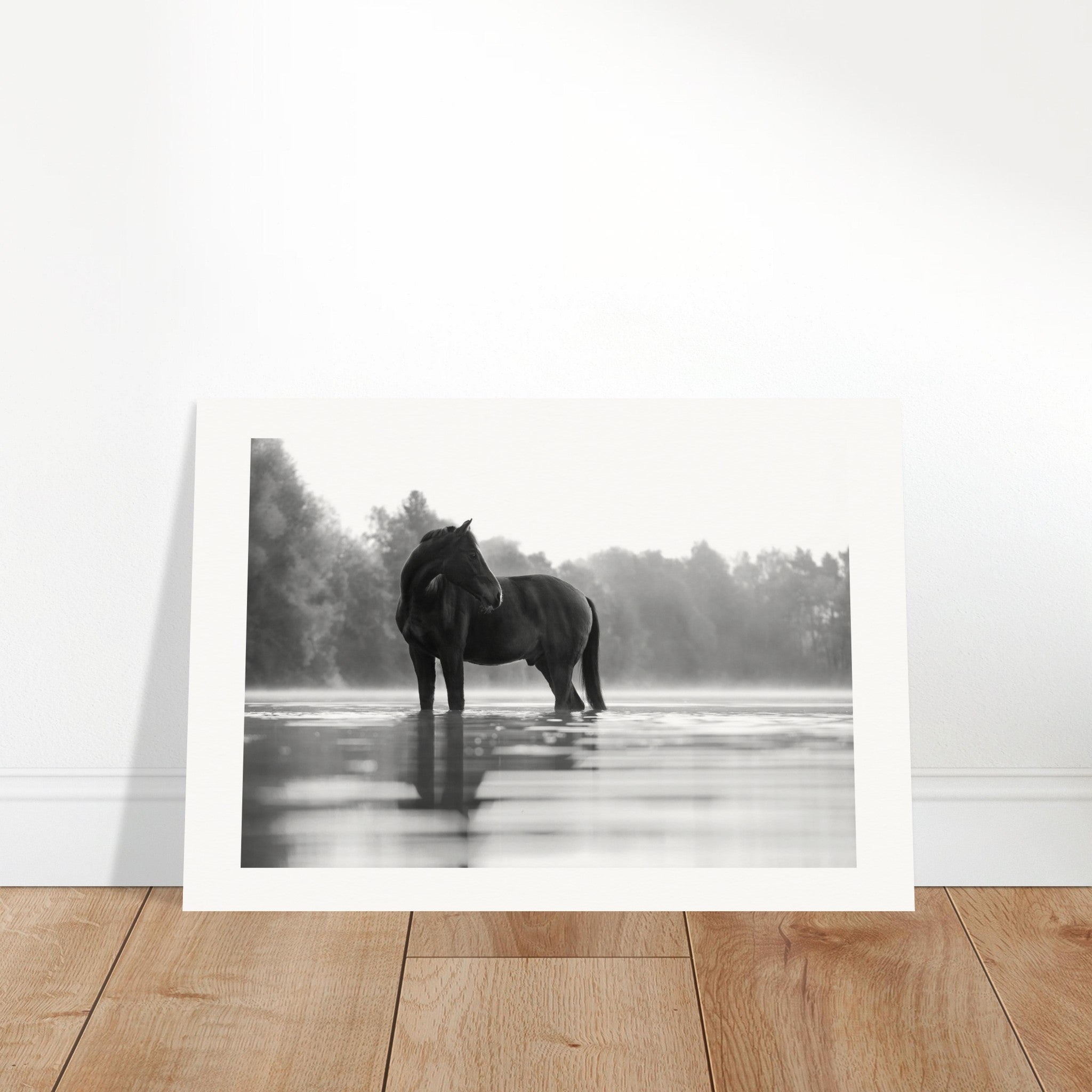 dc202050-ef70-4178-bf91-9fc4cf3c07f5