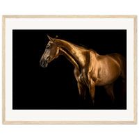 dc5bc938-f0ef-4cc8-aeb0-acab203d0848