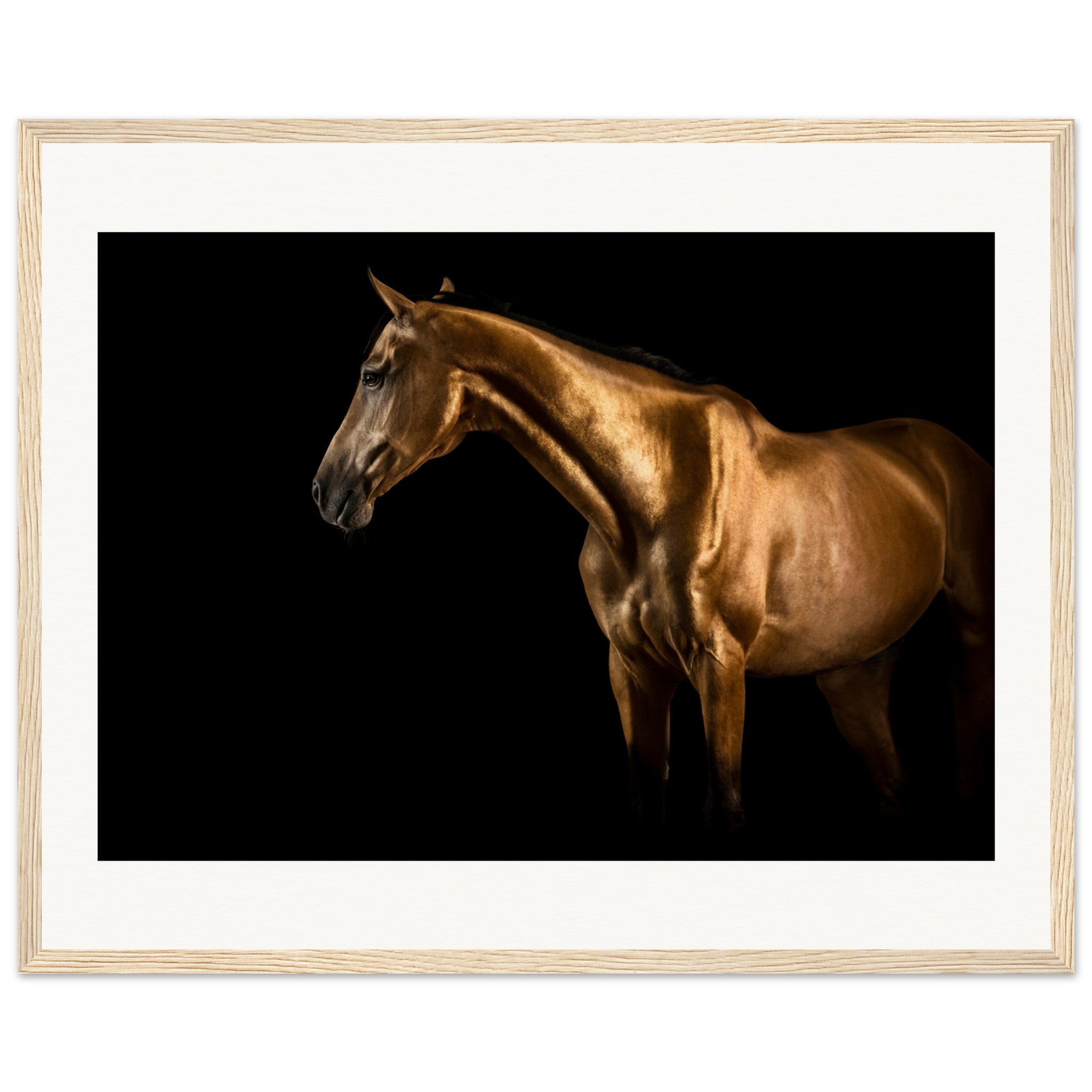 dc5bc938-f0ef-4cc8-aeb0-acab203d0848