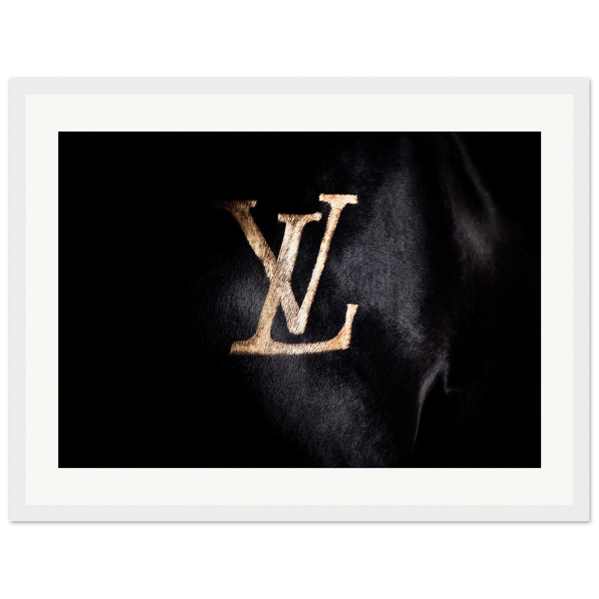 dc6a837b-f756-43e9-8d93-5aa5caa8d448