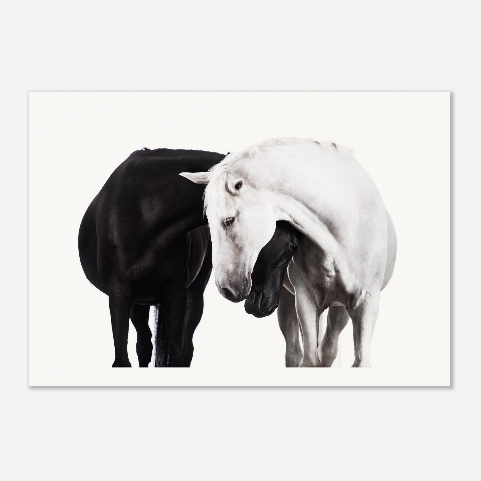 dc7ed756-49b7-4440-961f-863bcf8d2064