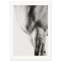 dce1897b-5798-48ea-8a50-1520f4d05d68