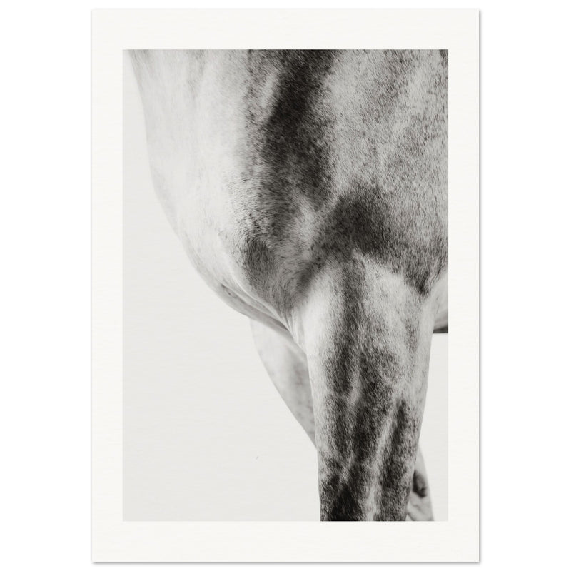 dce1897b-5798-48ea-8a50-1520f4d05d68