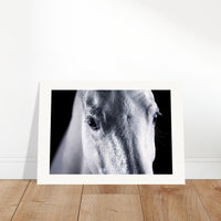 dd111a30-a456-4e96-bcce-1e029f8c6127