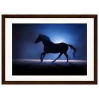 dd232526-d7c3-4497-b6f5-d8a8f5c5d608