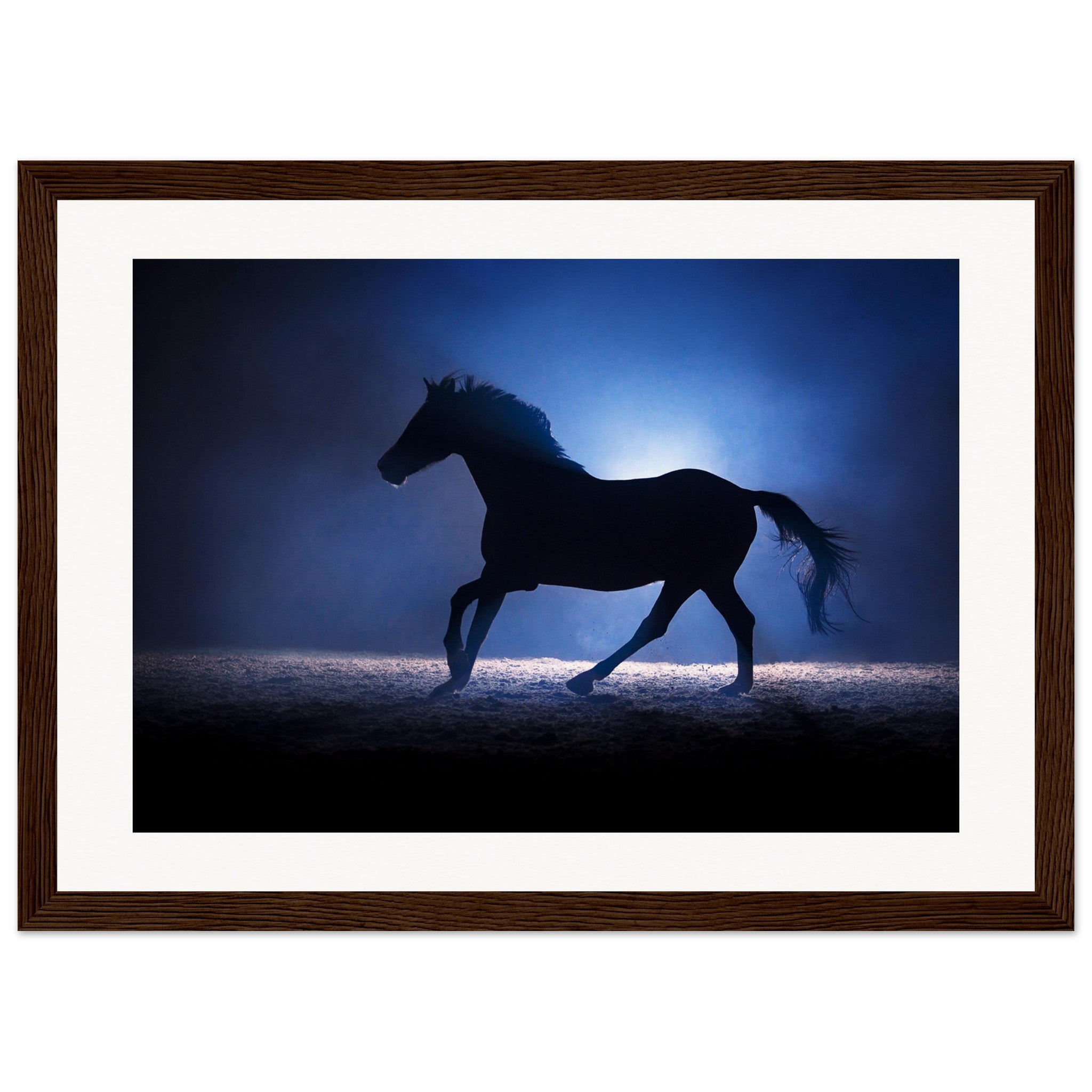 dd232526-d7c3-4497-b6f5-d8a8f5c5d608