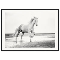 dd35aa2d-065c-4ecb-8963-5b60b27b0fac