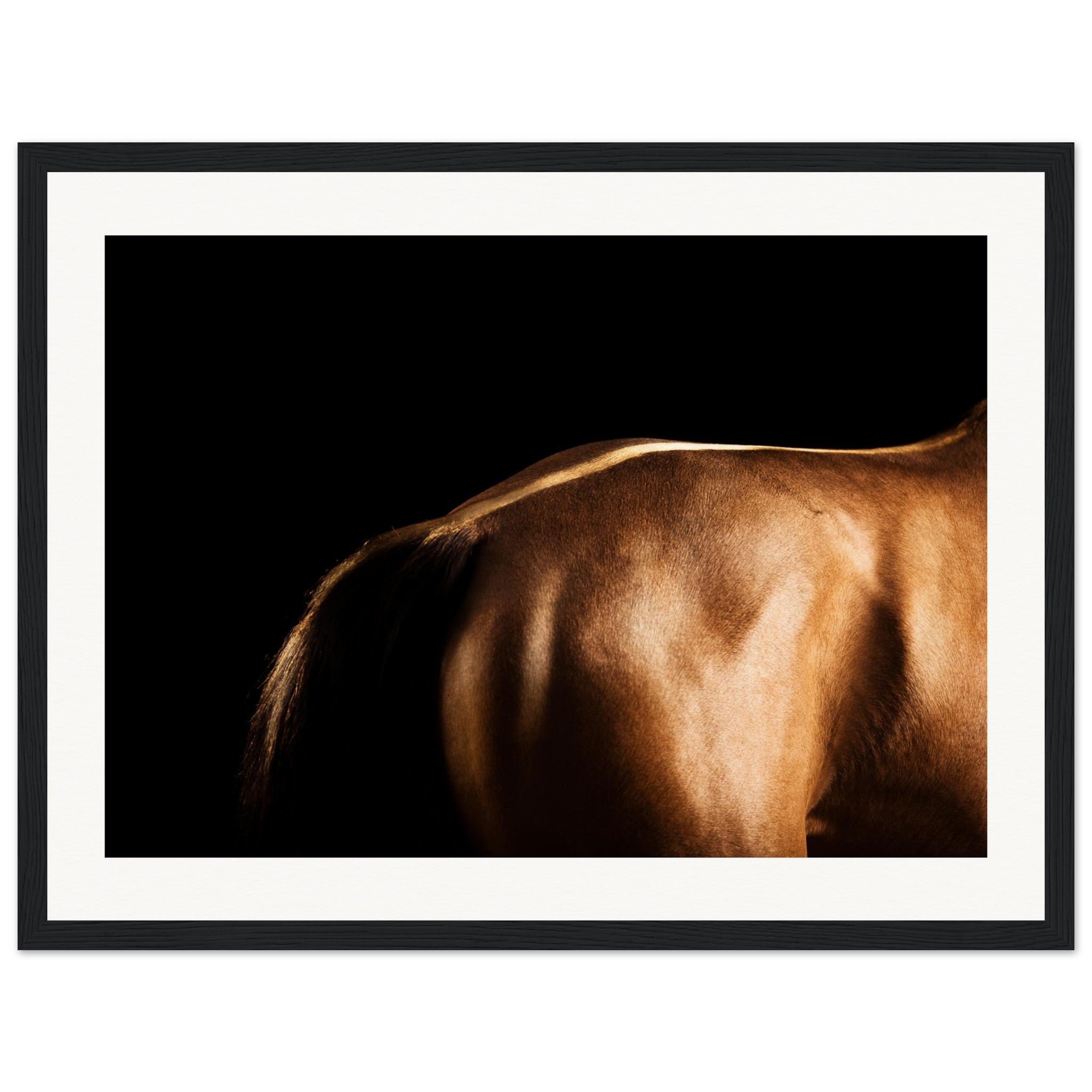 dd7dc896-5da1-42c2-aa32-bdc59d8d1e57