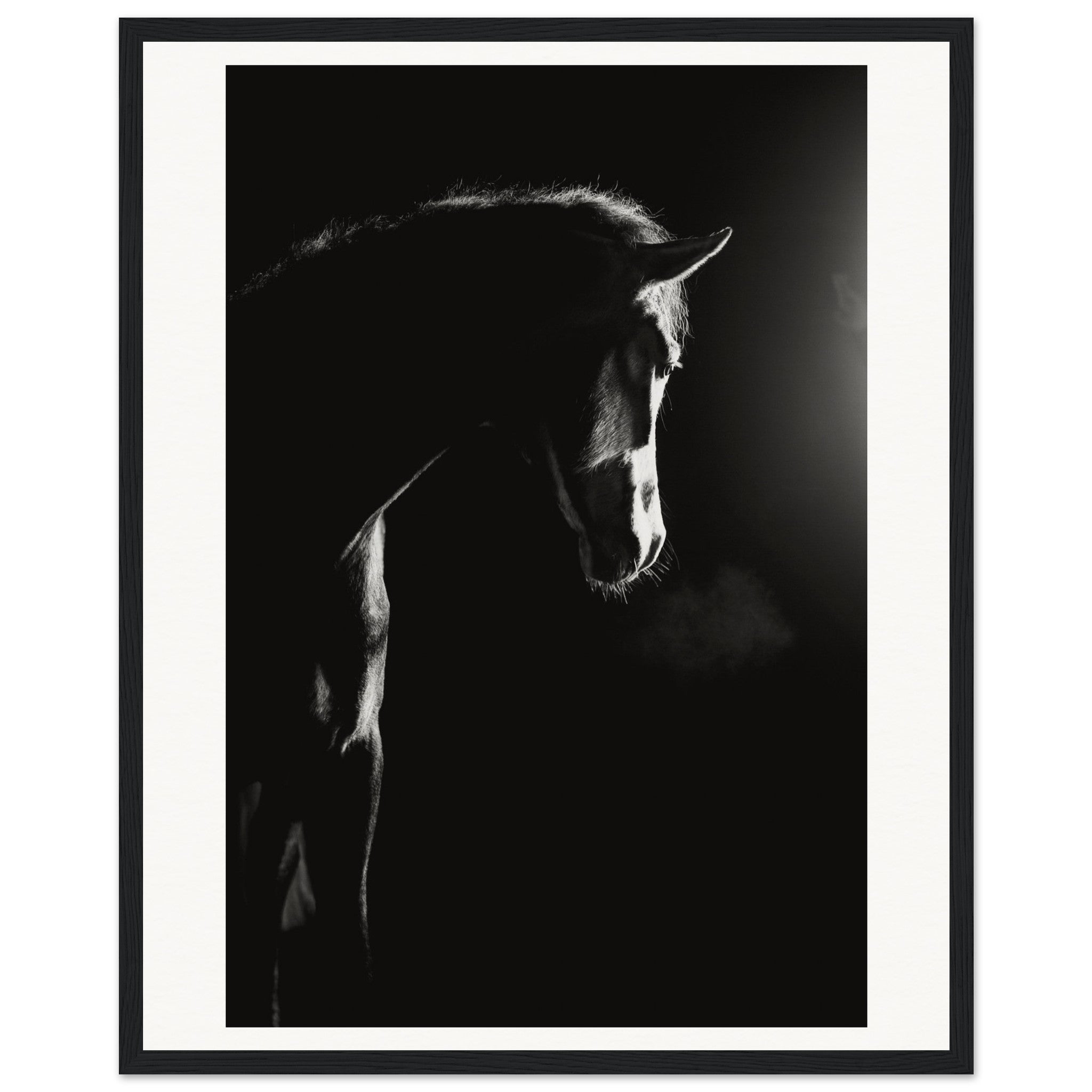 dd9a4653-5e29-490a-9031-e416eef92383