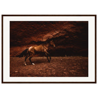 dd9ca443-8bea-4f9b-9ee5-499573f7c460