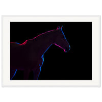 ddd8e2c2-96ba-442d-bec2-0a5675cdbbf7