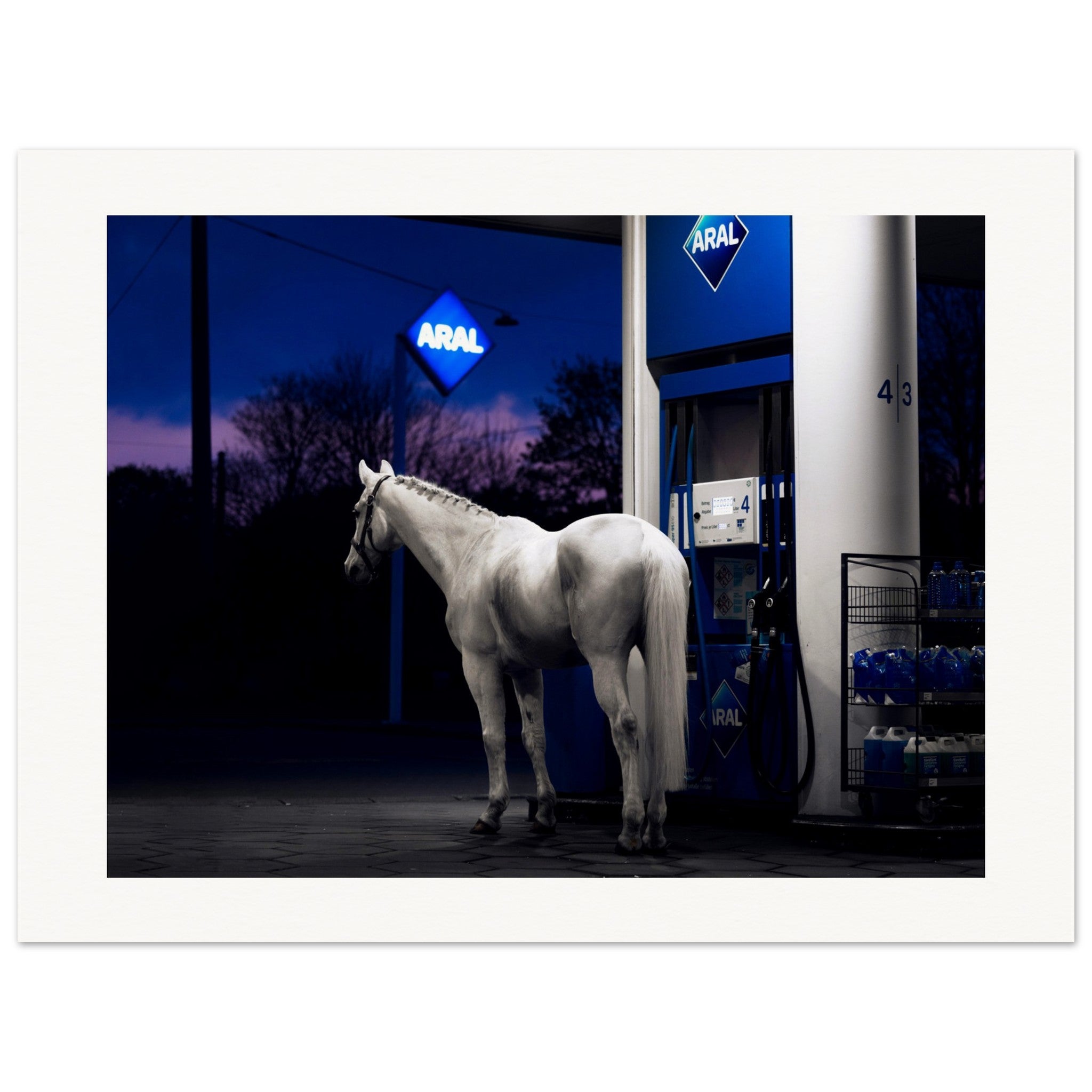 ddfba997-0375-4921-9e2c-677fc98dcd64