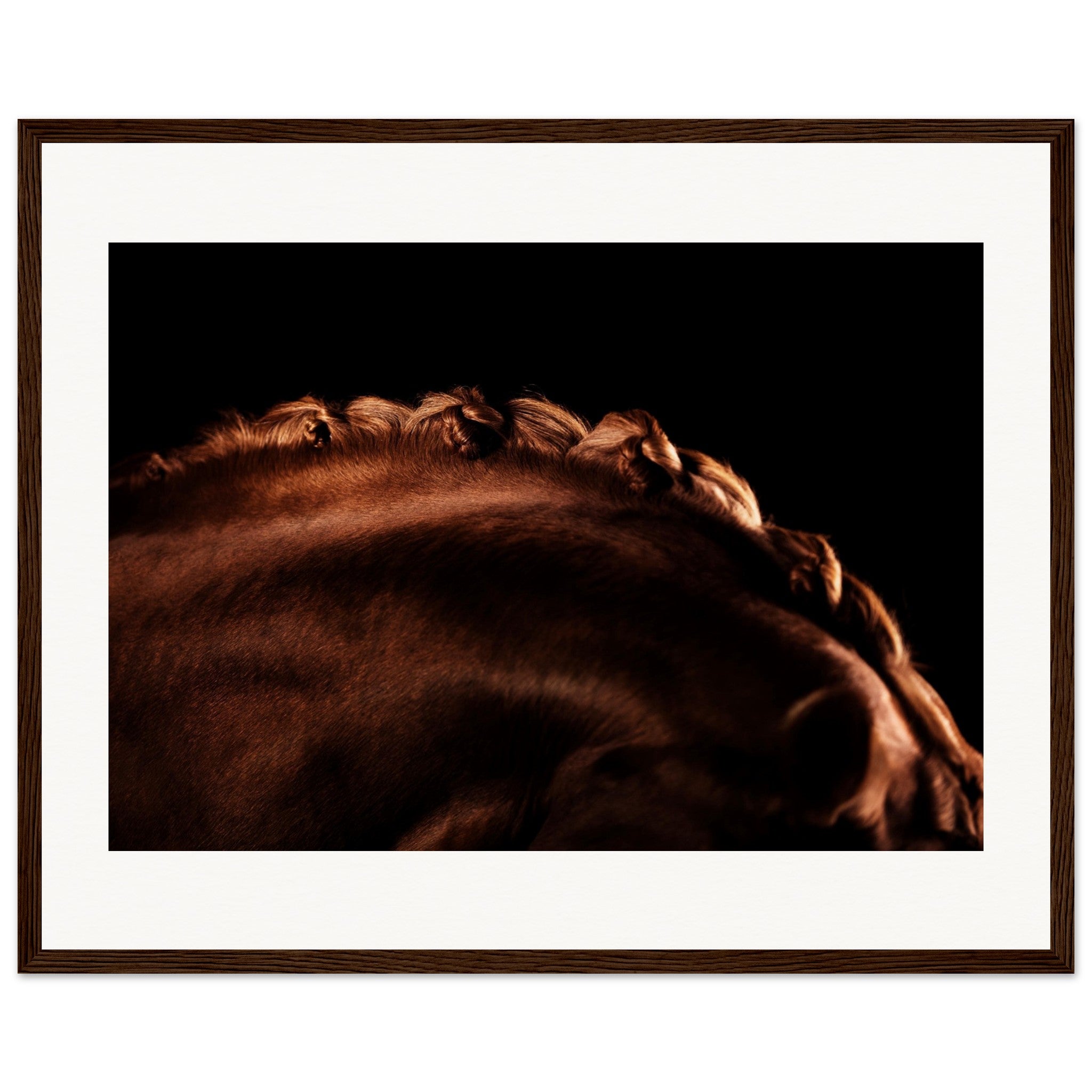 ddfe259d-0a23-4982-ae2a-cca23db1d3ce