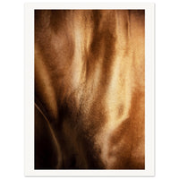 de22239c-7f50-47e3-b69c-69fa69f62ca5