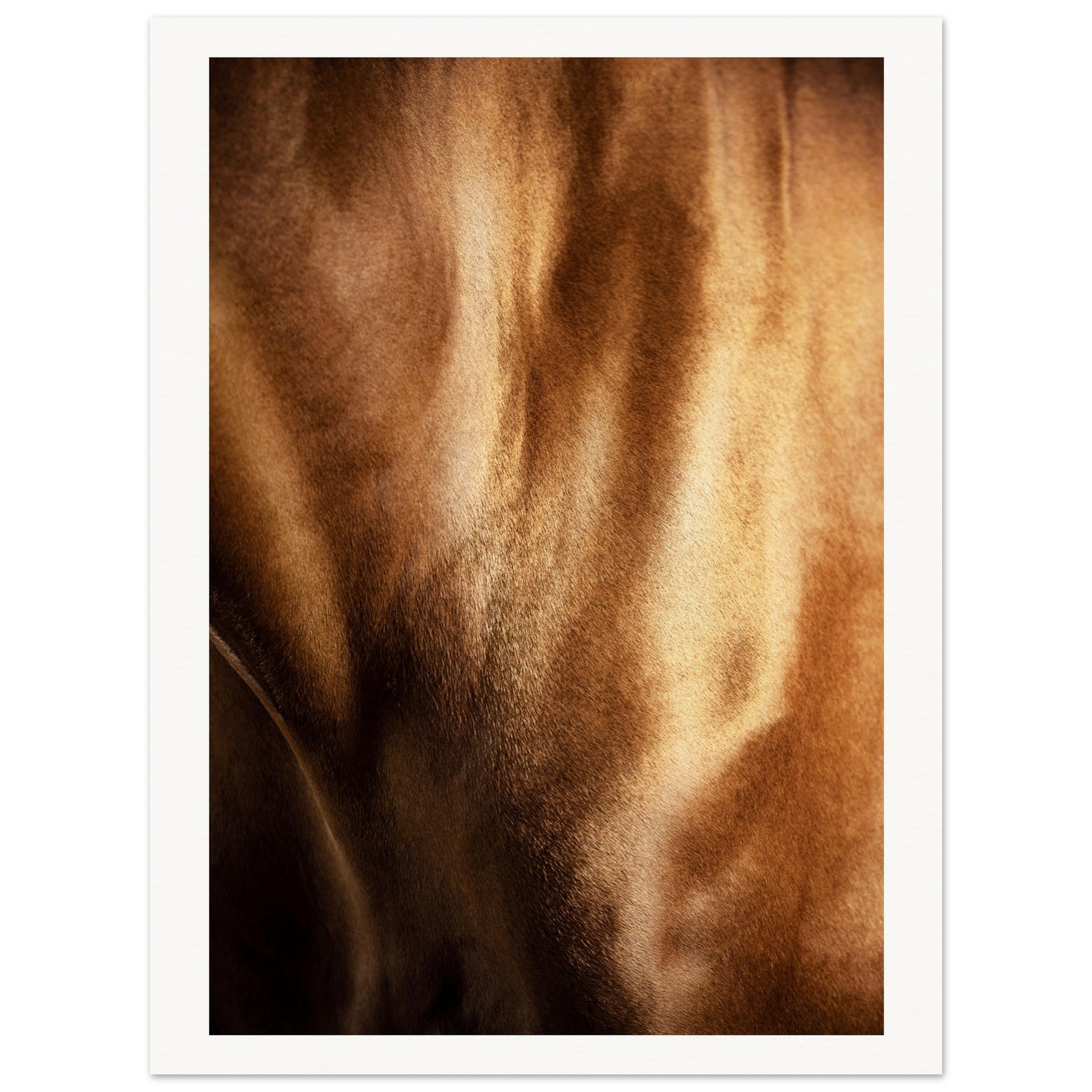 de22239c-7f50-47e3-b69c-69fa69f62ca5