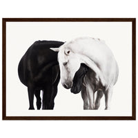 de6dbe16-ee0e-4def-8f7c-aff155d35c04