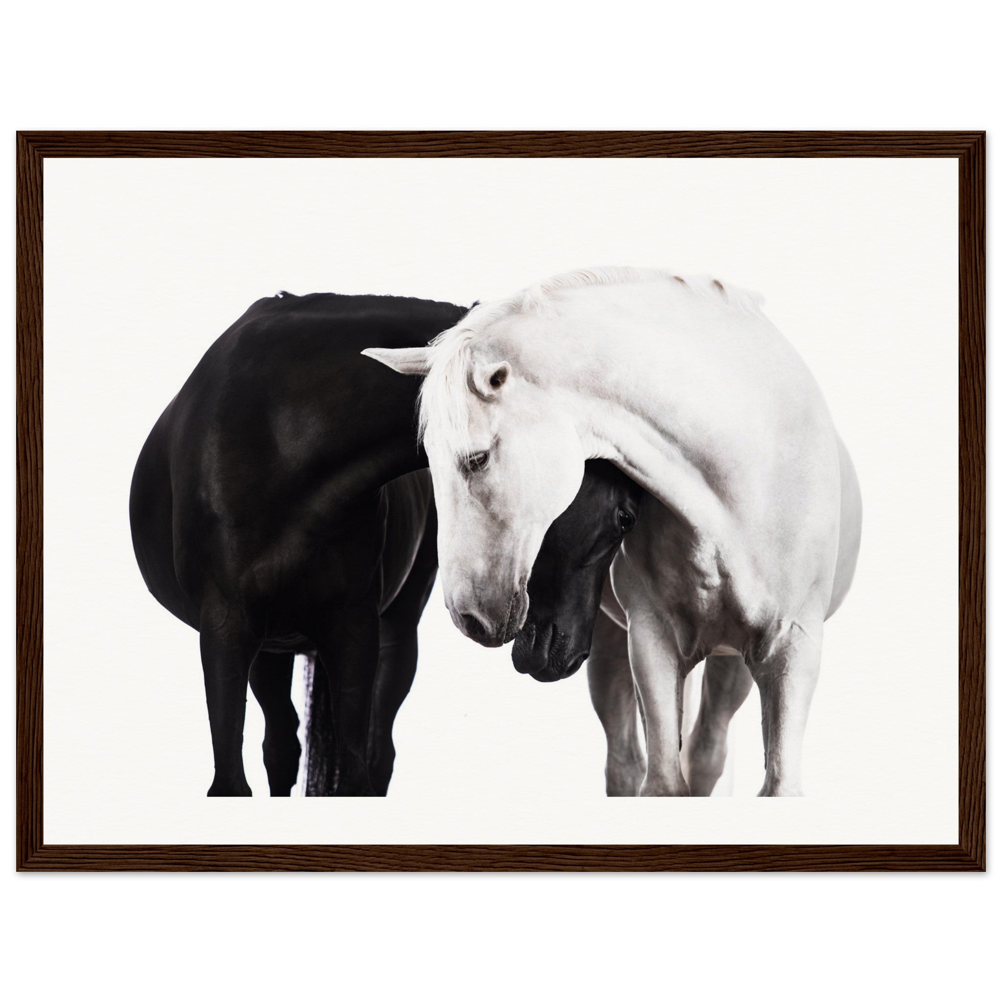 de6dbe16-ee0e-4def-8f7c-aff155d35c04