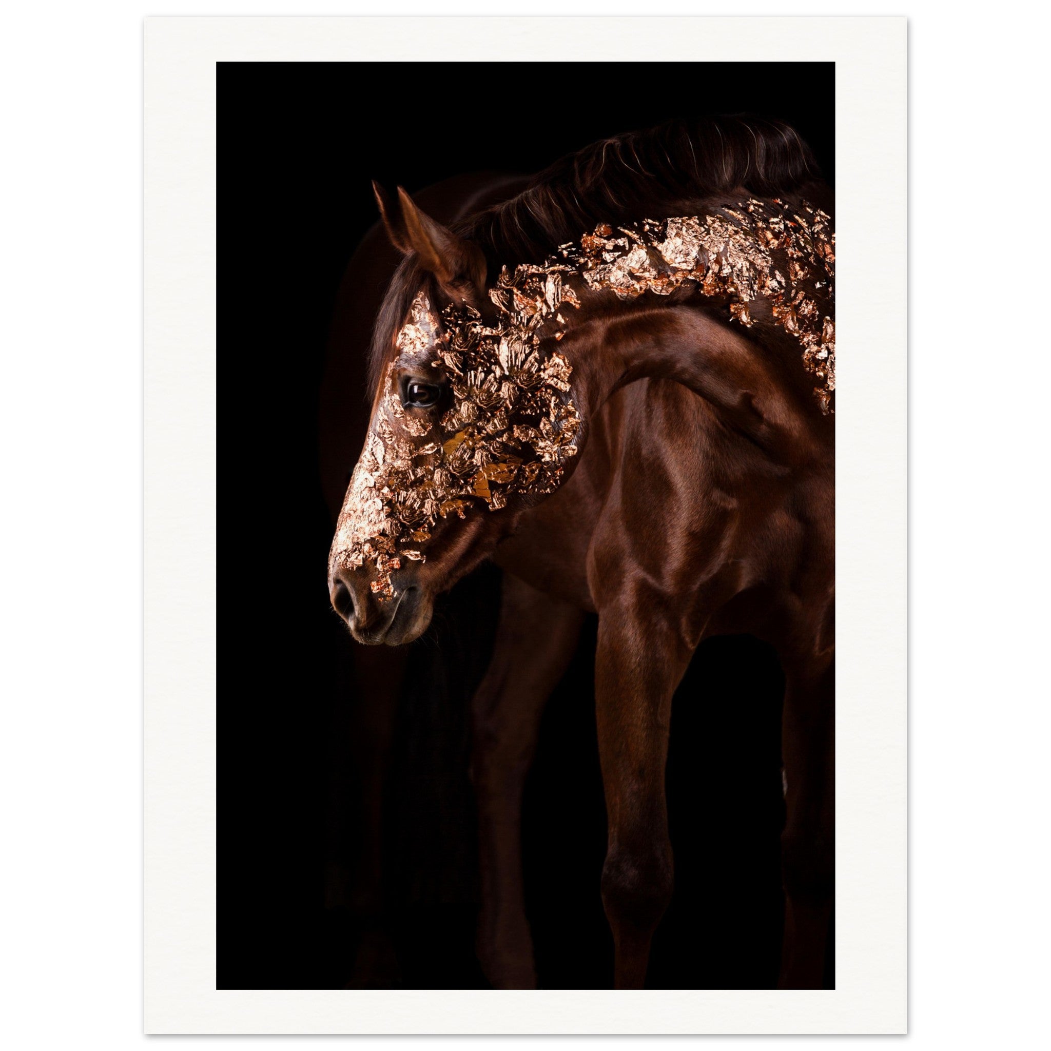 de8f023c-7ad9-4bda-aa29-355884e1d4cf