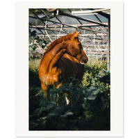 de9a86a1-fa62-4c46-8287-2770ddee6c69