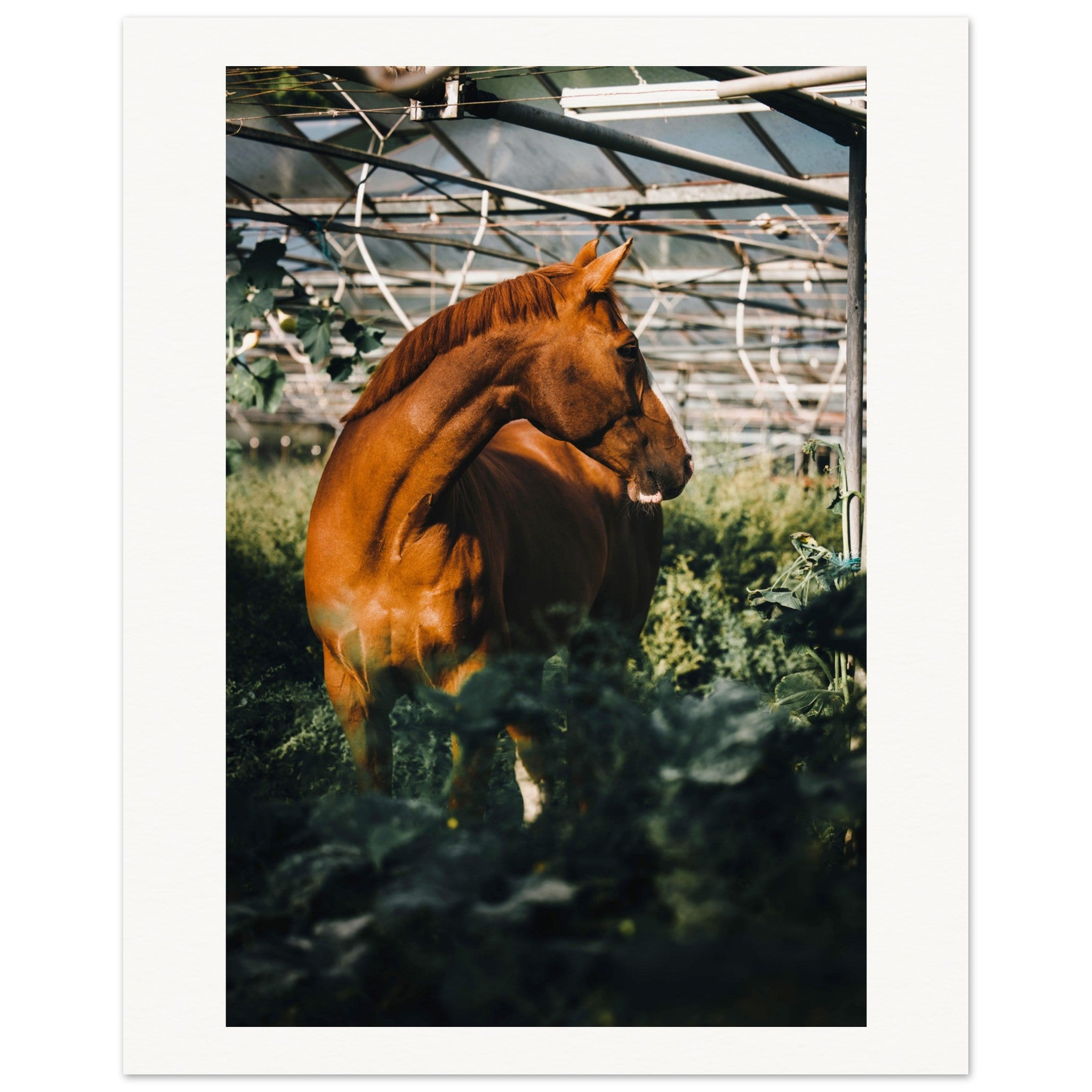 de9a86a1-fa62-4c46-8287-2770ddee6c69