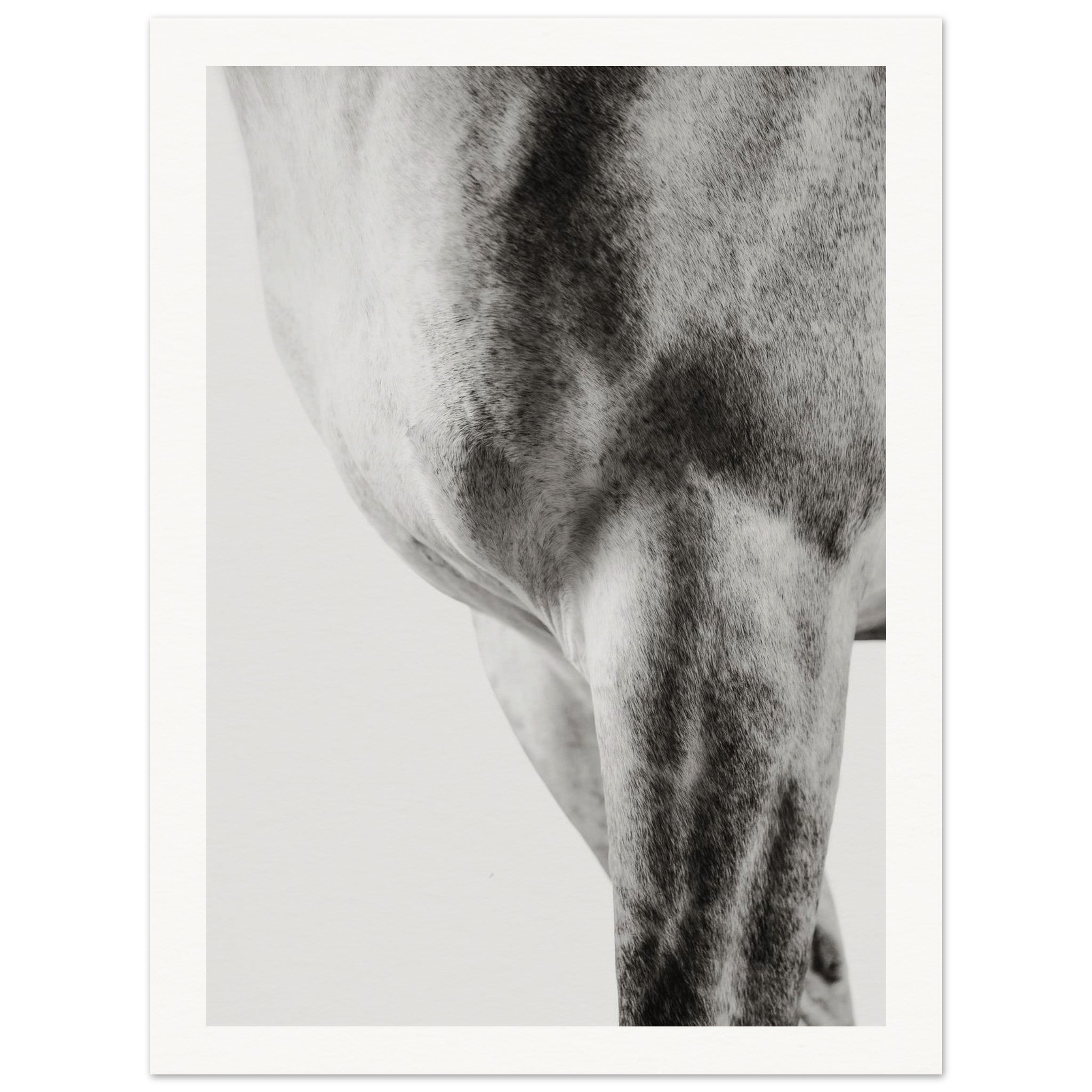 dea10bd4-e8cc-4803-807e-af0b7766ad6b