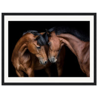 df025b73-1730-4bbc-81b5-cee51f44012f