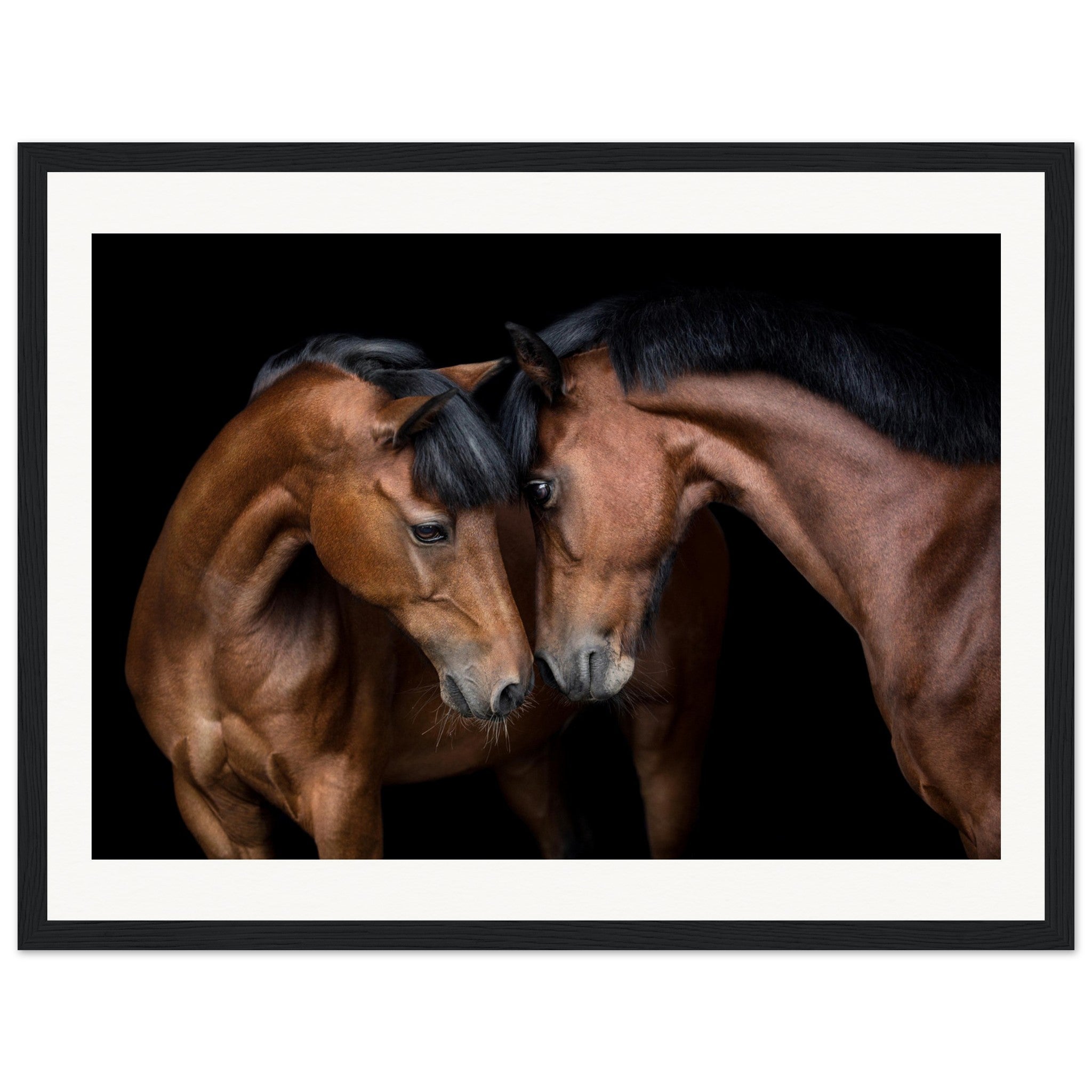 df025b73-1730-4bbc-81b5-cee51f44012f