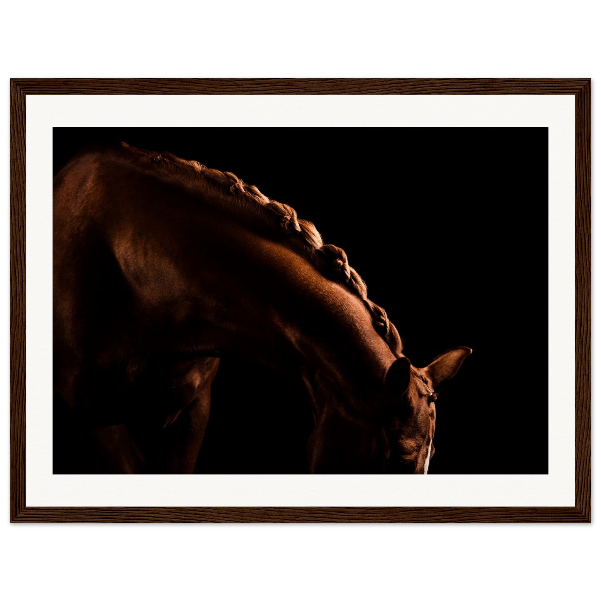 df198fcd-f246-485a-ab38-17c77f207826