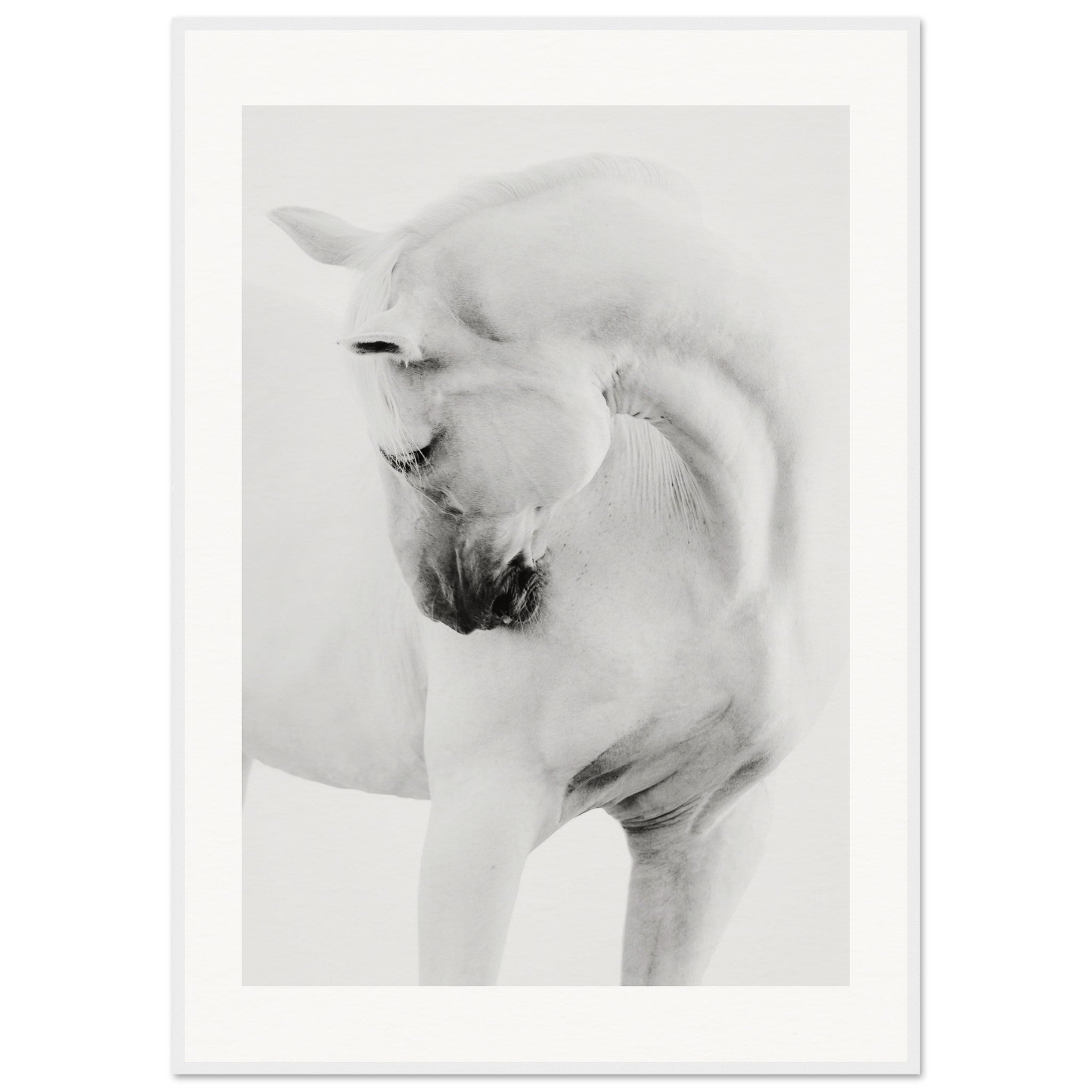 df49c8e5-9a4f-45c4-b567-325de4410096