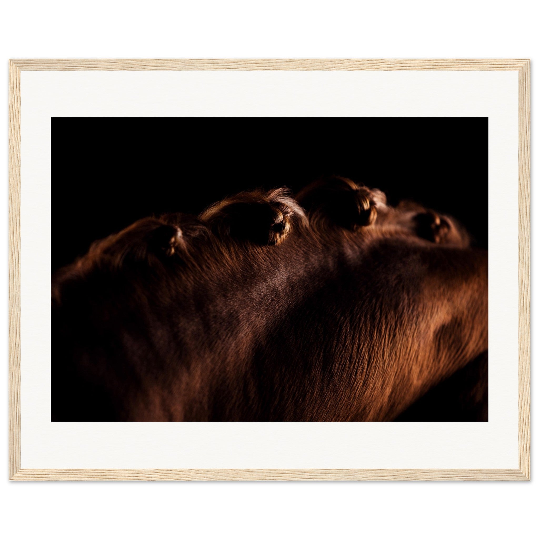 dfdcc690-109c-4530-9e74-92eba230848d