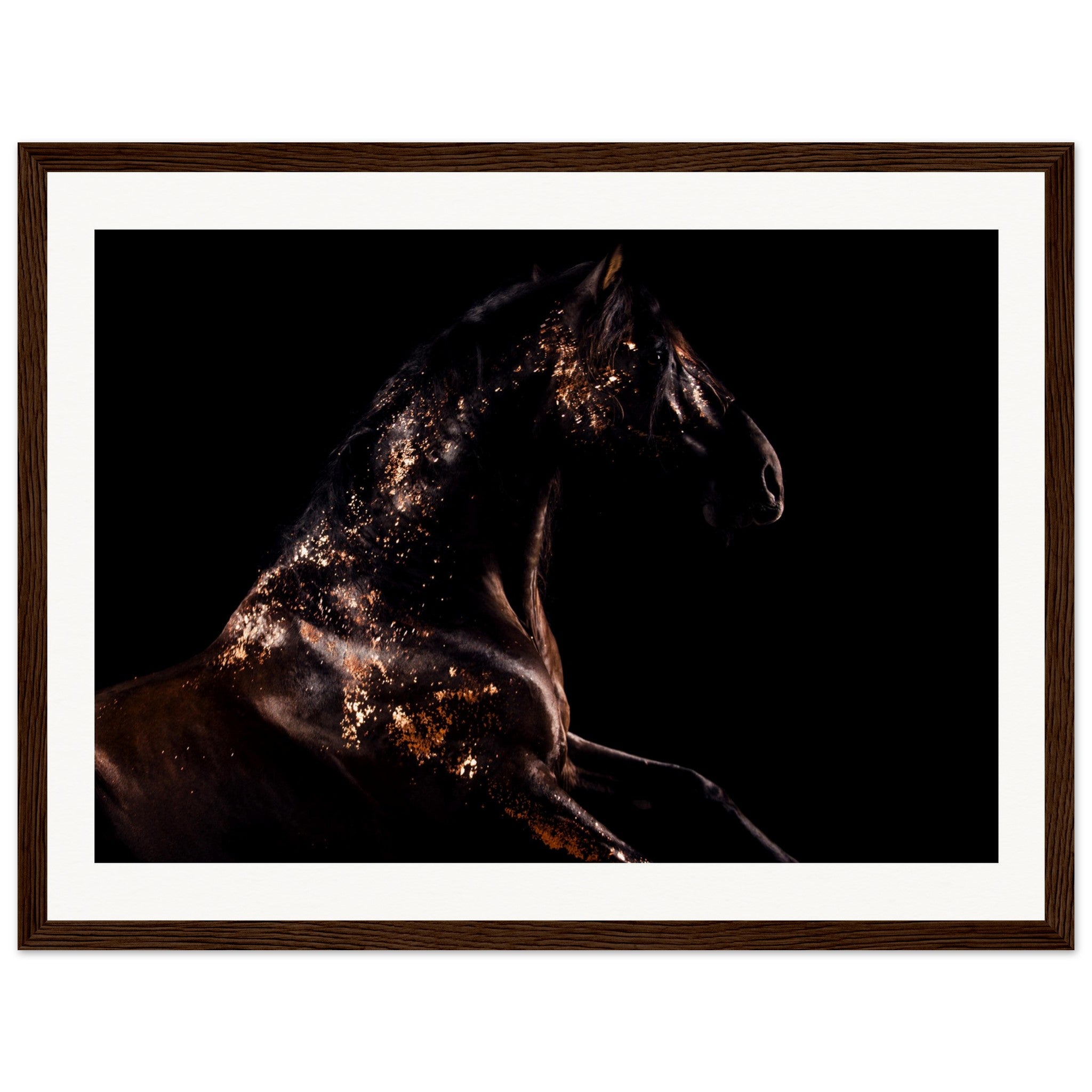 e0353f6b-7398-486d-8779-8e7101c6dbb6