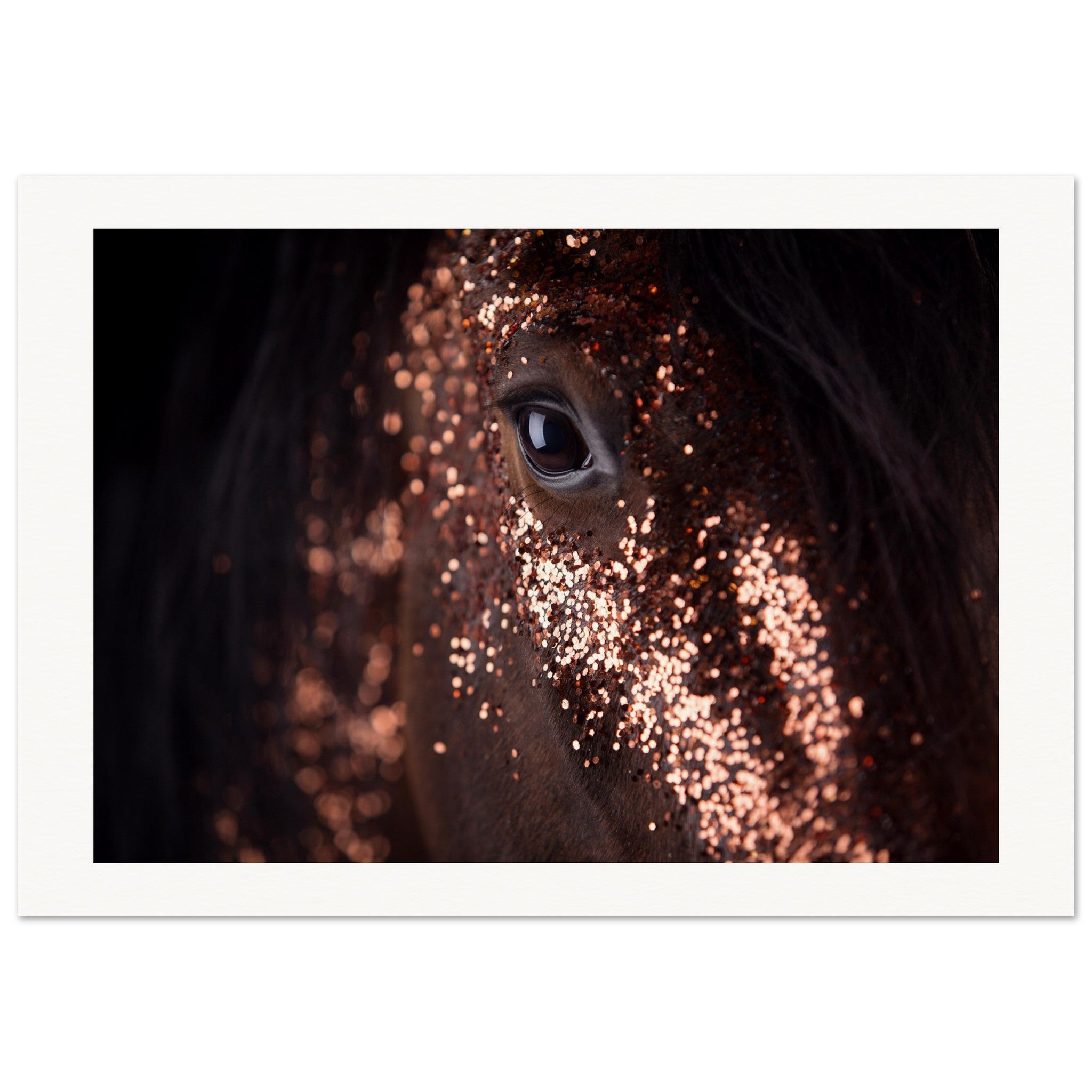 e06d0fdd-0b7e-4fc9-8dc5-ffa7ba6ca39e