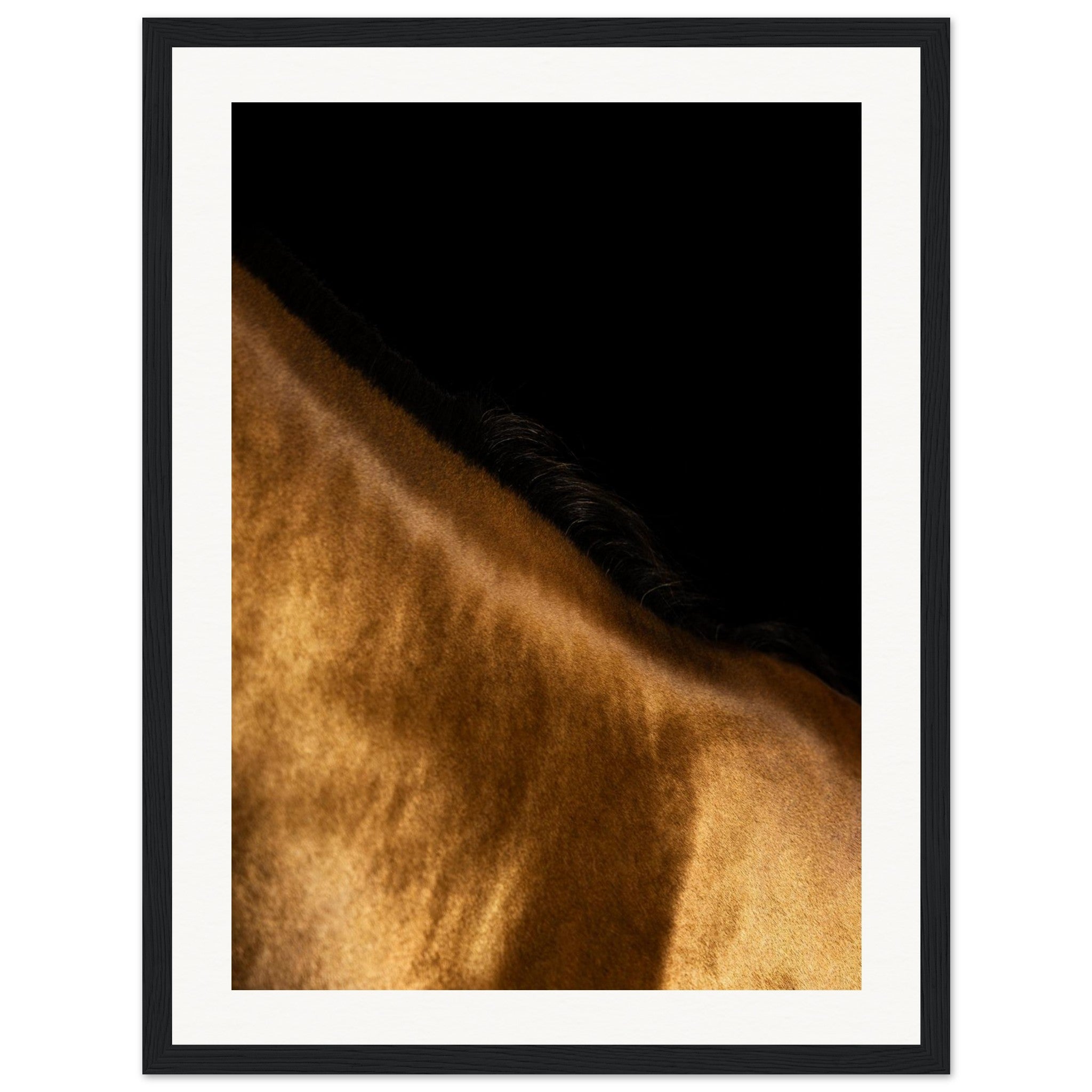 e08a7ae0-e6a9-4315-a898-80c83d55941d