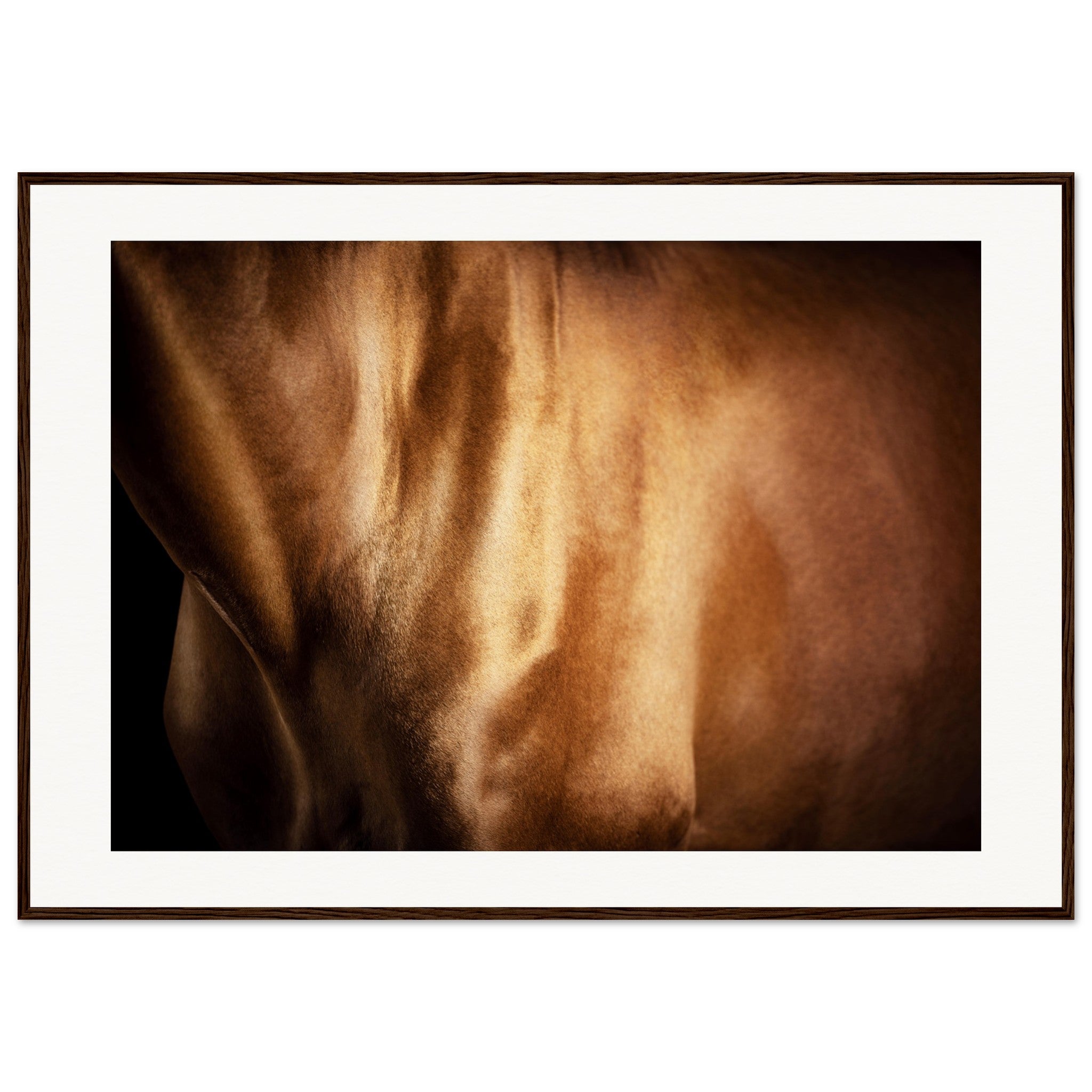 e0ad6292-f30b-468c-9c3c-2adf0f59064f