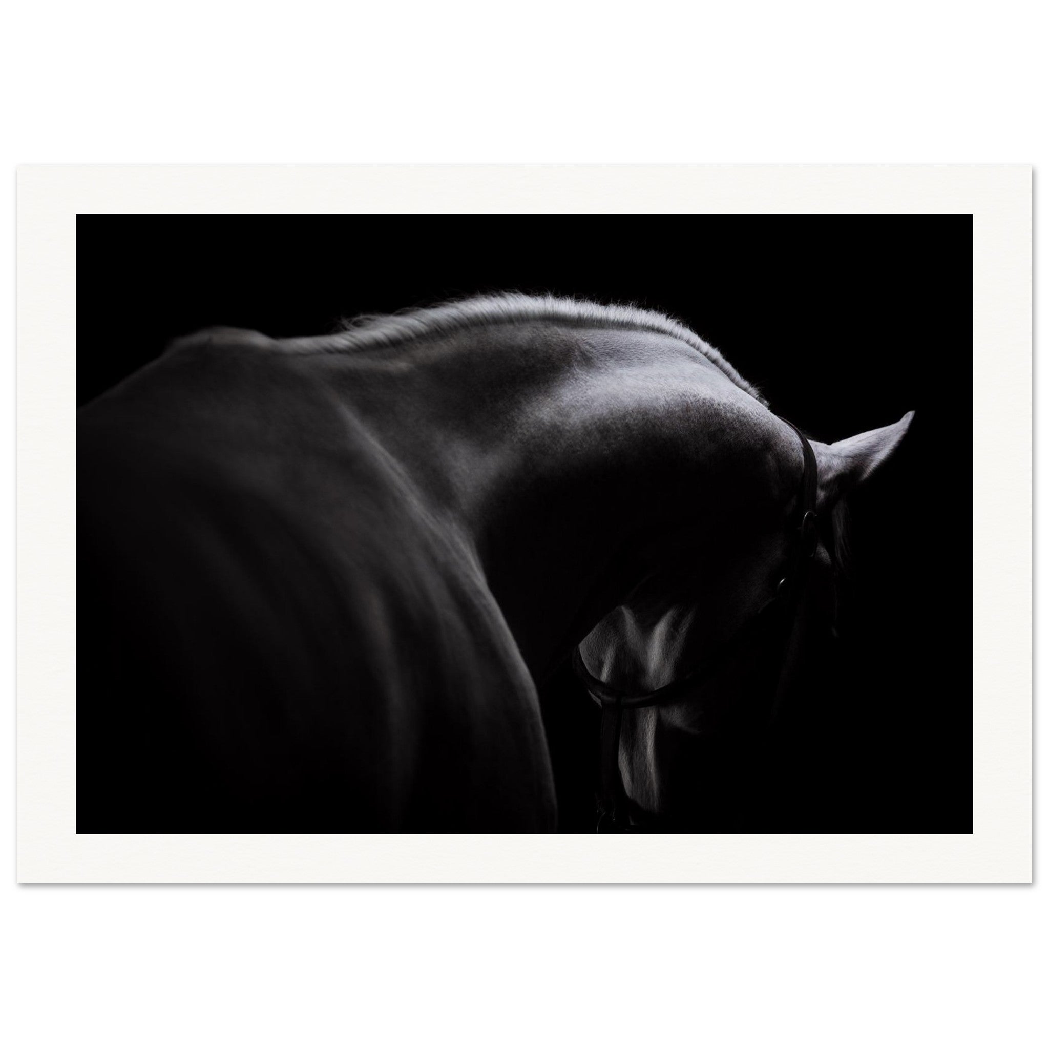 e122fa4a-fd8d-4d5a-86bb-d2a97dafa205